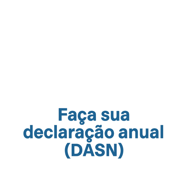 Faça sua Declaração Anual